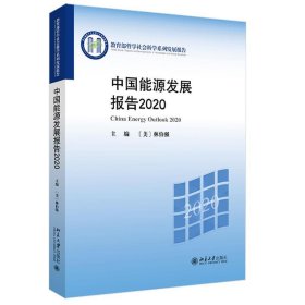 中国能源发展报告2020