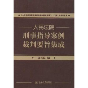 人民法院刑事指导案例裁判要旨集成