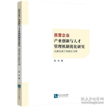 民营企业产业创新与人才管理机制优化研究：以湖北咸宁高新区为例