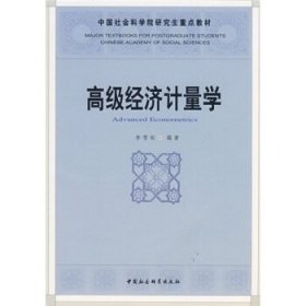 高级经济计量学