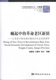 崛起中的革命老区新镇：江西省宁都县赖村镇经济社会发展调研