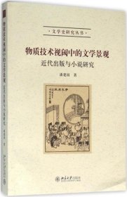 物质技术视阈中的文学景观：近代出版与小说研究