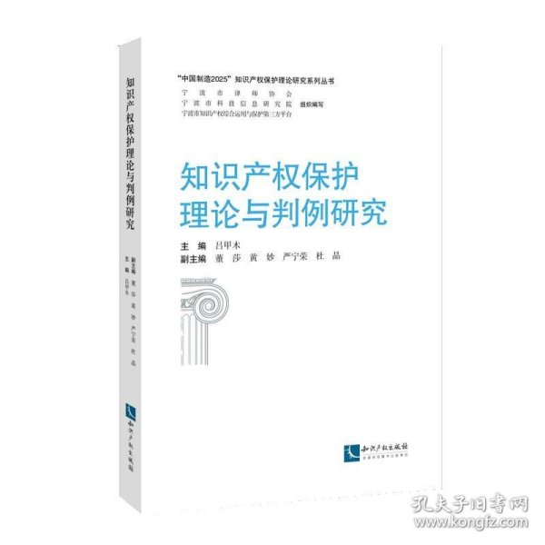 知识产权保护理论与判例研究