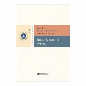 知识产权视野下的大数据