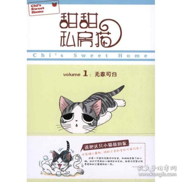 甜甜私房猫1：无家可归