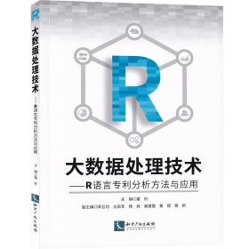 大数据处理技术：R语言专利分析方法与应用