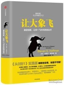 让大象飞:激进创新，让你一飞冲天的创业术