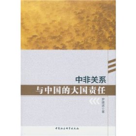中非關(guān)系與中國的大國責(zé)任