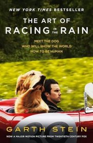 现货 雨中赛车的艺术The Art of Racing in the Rain