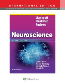 现货 Lippincott Illustrated Reviews： 神经科学，国际版（李平科特图解评论系列）Lippincott Illustrated Reviews: Neuroscience, International Edition (Lippincott Illustrated Reviews Series)