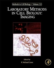 现货 细胞生物学实验室方法：成像（第 113 卷）Laboratory Methods in Cell Biology:Imaging (Volume 113) (Methods in Cell Biology, Volume 113)