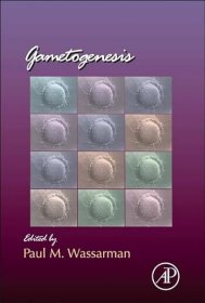 现货 配子发生（第 102 卷）（发育生物学最新专题，第 102 卷）Gametogenesis (Volume 102) (Current Topics in Developmental Biology, Volume 102)