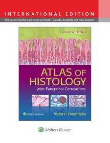 现货 组织学图谱与功能相关性，国际版Atlas of Histology with Functional Correlations, International Edition