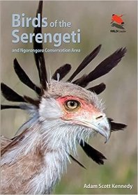 现货 塞伦盖蒂的鸟类Birds of the Serengeti