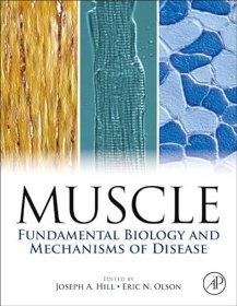 现货 肌肉 2 卷套装：基础生物学与疾病机理Muscle 2-Volume Set:Fundamental Biology and Mechanisms of Disease