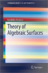 现货 代数曲面理论 (2020)Theory of Algebraic Surfaces (2020)