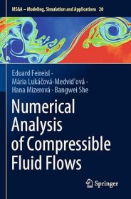 现货 Numerical Analysis of Compressible Fluid Flows (2021)