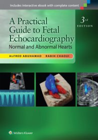 现货 胎儿超声心动图实用指南A Practical Guide to Fetal Echocardiography