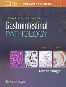 现货 Fenoglio-Preiser 胃肠道病理学Fenoglio-Preiser's Gastrointestinal Pathology