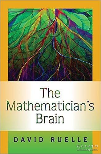 现货 数学家的大脑The Mathematician's Brain