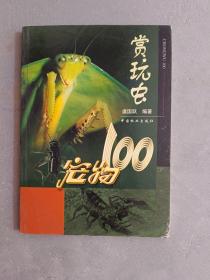 宠物100：赏玩虫