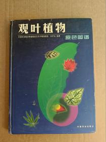 观叶植物原色图谱