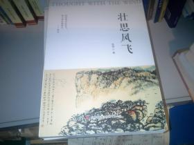 壮思风飞