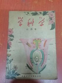 学科学 八月号