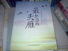 最担当的头雁——吉林省优秀村书记风采录