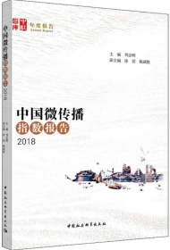 中国微传播指数报告（2018）