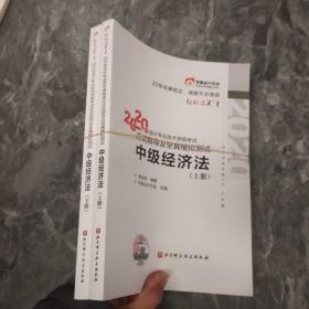 轻松过关1 2020年会计专业技术资格考试应试指导及全真模拟测试 中级经济法