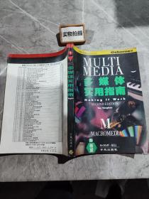 多媒体实用指南