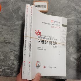 轻松过关1 2020年会计专业技术资格考试应试指导及全真模拟测试 中级经济法