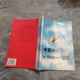 中文Word 6.0 for Windows教程