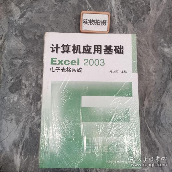 计算机应用基础EXcel2003电子表格系统