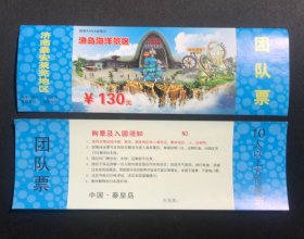 渔岛海洋景区团队票一张