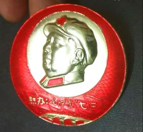 毛章背字；命名南宁市七.三人民公社大会纪念