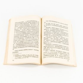 雄猫穆尔的生活观 霍夫曼 韩世钟翻译外国文学名著丛书网格本老版