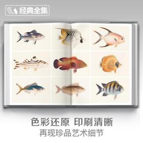 【正版现货】2023新书 精装 百态动物插画集 50位西方大师插画作品集 鸟兽鱼马犬猫类动物插版画博物画图谱原作正版临摹教材 杨建飞