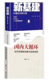 正版新书现货 国内大循环：经济发展新战略与政策选择 新基建：中国经济新引擎