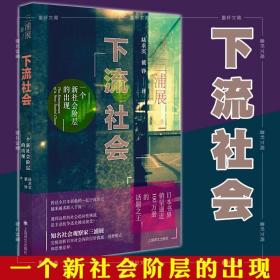 下流社会：一个新社会阶层的出现