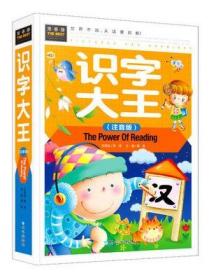 正版 2-3-4-6岁宝宝早教看图认字汉字学习书小中大班一年级识字大王