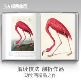 【正版现货】2023新书 精装 百态动物插画集 50位西方大师插画作品集 鸟兽鱼马犬猫类动物插版画博物画图谱原作正版临摹教材 杨建飞