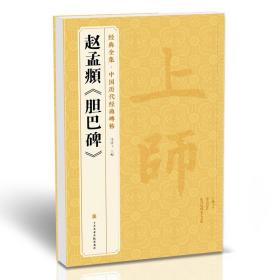 【正版现货】赵孟頫《胆巴碑》中国历代碑帖精粹译文简体注释元代楷书毛笔字帖书法成人学生临摹帖练古帖练字中国美院出版社 杨建飞