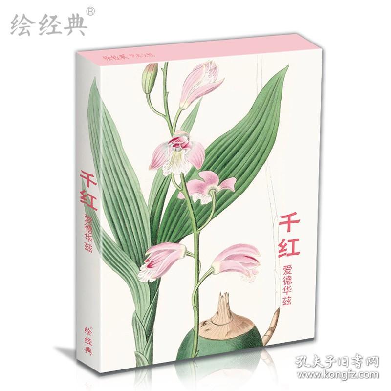 【正版现货】临摹卡《千红》水彩大师爱德华兹绘 32张名家花卉水彩画册集艺术明信片小卡片手绘插画简约小清新文艺日系复古风生日贺卡创意礼物