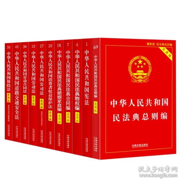 2021版民法典全套11册 法律书籍全套 民法典总则物权婚姻家庭公司劳动合同保险道路安全宪法消费者权益 中国法制出版