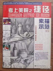 考上美院之捷径：素描示范  中央美术学院 徐伯寿 黑龙江美术出版社