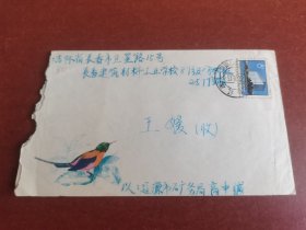 实寄美术信封。1987年辽源邮长春、实寄画眉鸟美术信封