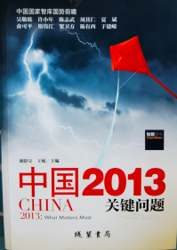 中国2013关键问题