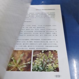 中国农田杂草化学防除前沿技术